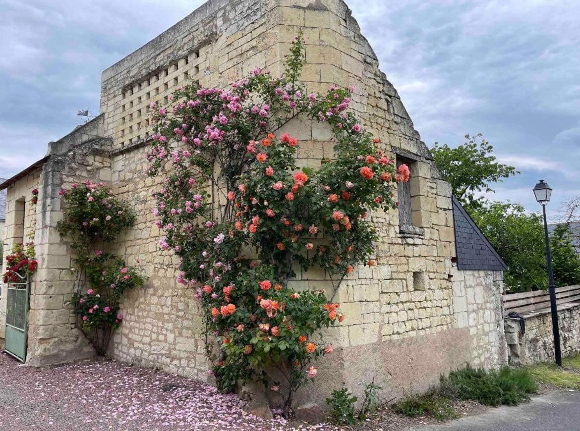 Appartamento Le Colombier Le Coudray-Macouard Esterno foto